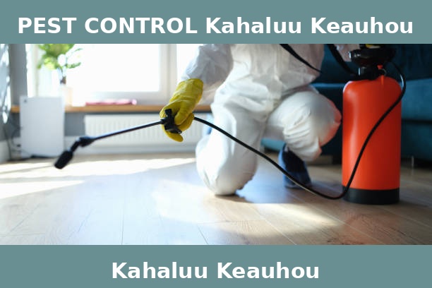 PEST CONTROL Kahaluu Keauhou